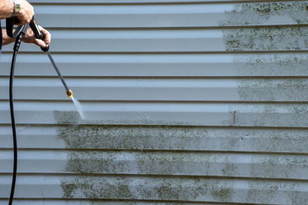 Best Property Management Cleanouts  in North Tunica, MS